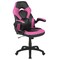 Emma and Oliver Z100 Gaming Chair Racing Office Ergonomic Computer PC Adjustable Swivel Chair